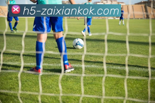 在线KOK发展历程